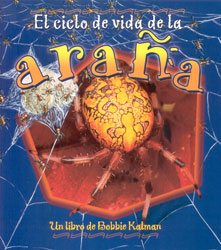 EL CICLO DE VIDA DE LA ARAÑA 1