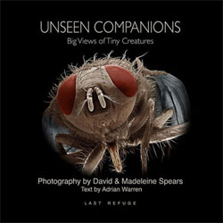 UNSEEN COMPANIONS. BIG VIEWS OF TINY CREATURES 1