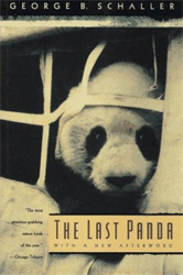 THE LAST PANDA 1