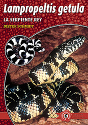 LAMPROPELTIS GETULA. LA SERPIENTE REY