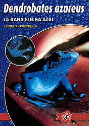 DENDROBATES AZUREUS. LA RANA FLECHA AZUL 1