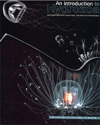 AN INTRODUCTION TO HYDROZOA
