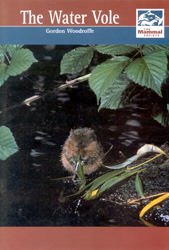 THE WATER VOLE