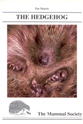 THE HEDGEHOG