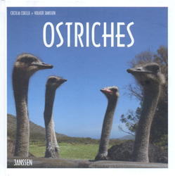 OSTRICHES