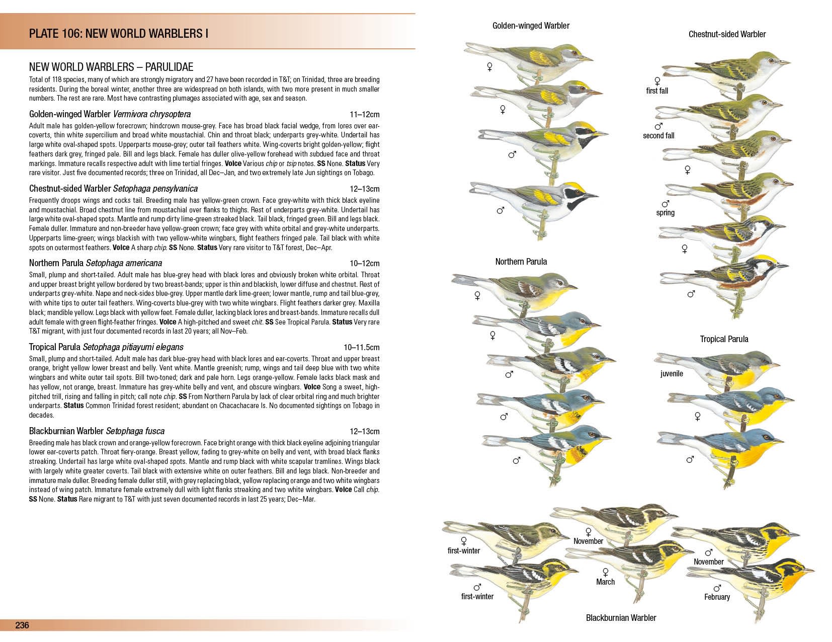 HELM FIELD GUIDES. BIRDS OF TRINIDAD AND TOBAGO 6