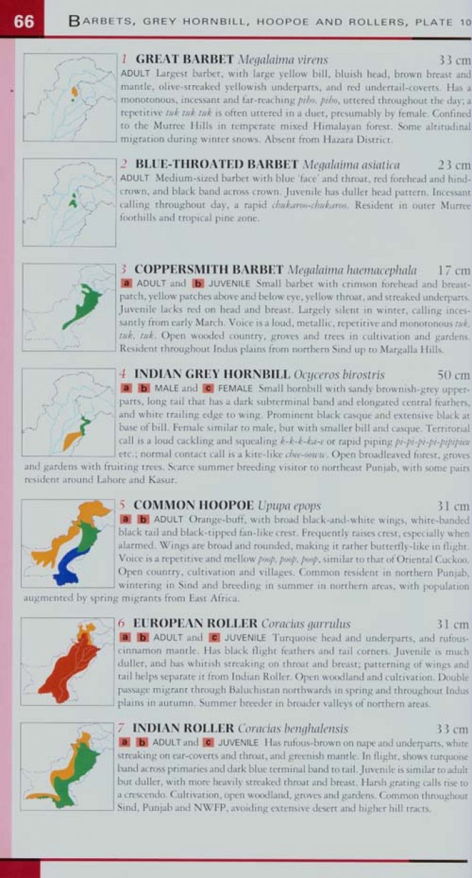 HELM FIELD GUIDE TO THE BIRDS OF PAKISTAN 4