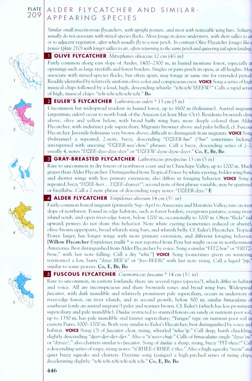 HELM FIELD GUIDES. BIRDS OF PERU 5