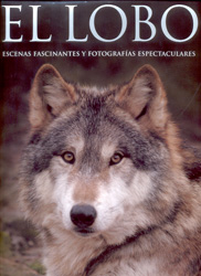 EL LOBO. ESCENAS FASCINANTES Y FOTOGRAFÍAS ESPECTACULARES 1