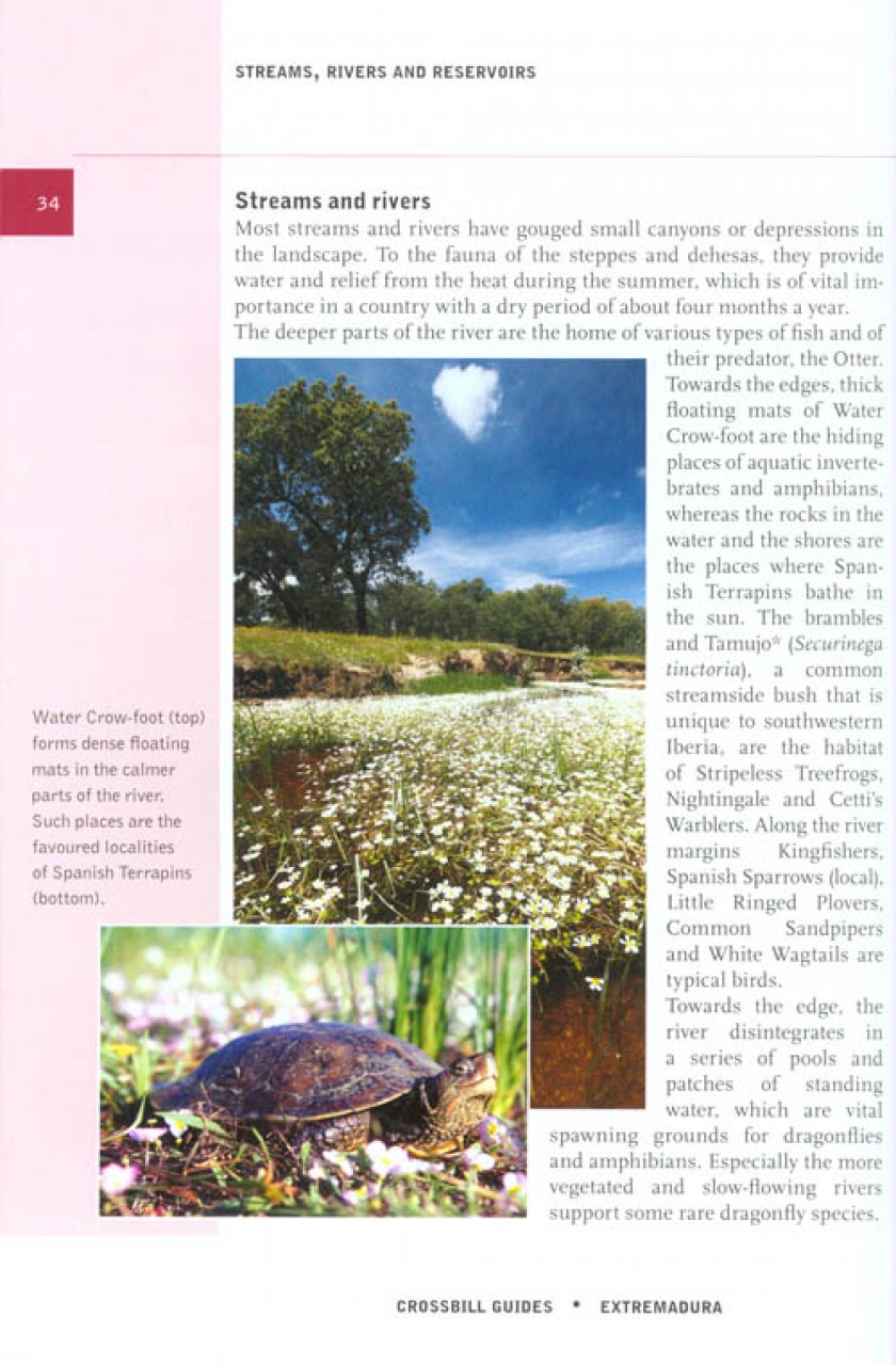 CROSSBILL GUIDES. EXTREMADURA 2