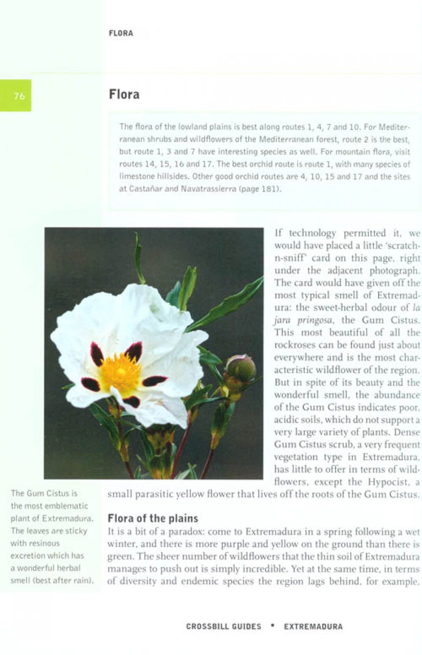 CROSSBILL GUIDES. EXTREMADURA 3