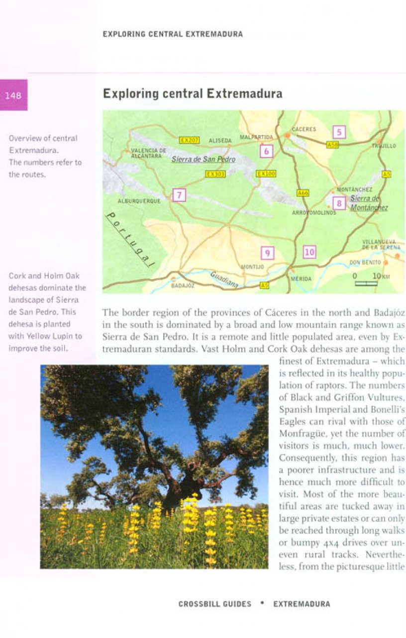 CROSSBILL GUIDES. EXTREMADURA 5