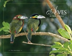 AVES DA MATA ATLANTICA/BIRDS OF THE ATLANTIC FOREST 1