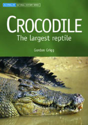 CROCODILE. THE LARGEST REPTILE 1