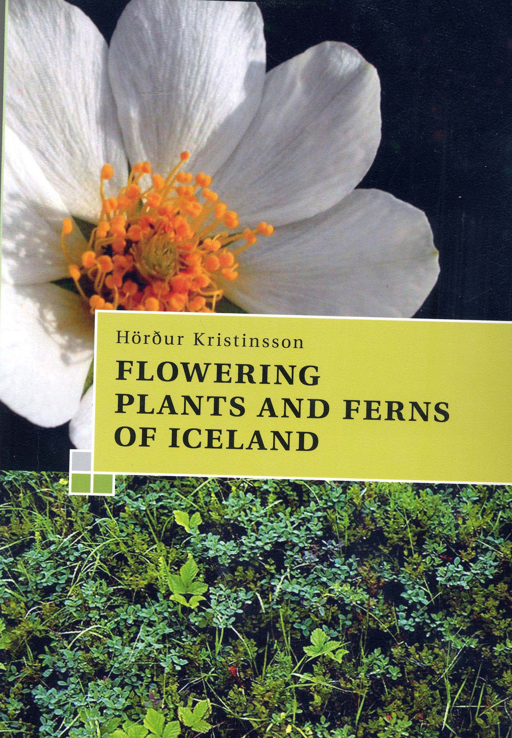 A GUIDE TO THE FLOWERING PLANTS AND FERNS OF ICELAND