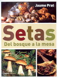 SETAS. DEL BOSQUE A LA MESA 1