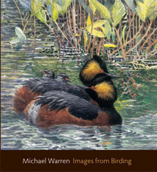 IMAGES FROM BIRDING 1