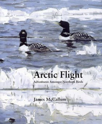 ARCTIC FLIGHT ADVENTURES AMONGST NORTHERN BIRDS 1