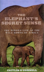 THE ELEPHANT'S SECRET SENSE. THE HIDDEN LIFE OF THE WILD HERDS OF AFRICA 1