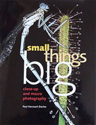 SMALL THINGS BIG: CLOSE-UP AND MACRO PHOTOGRAPHY 1