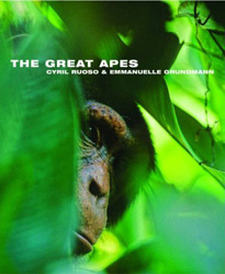 THE GREAT APES