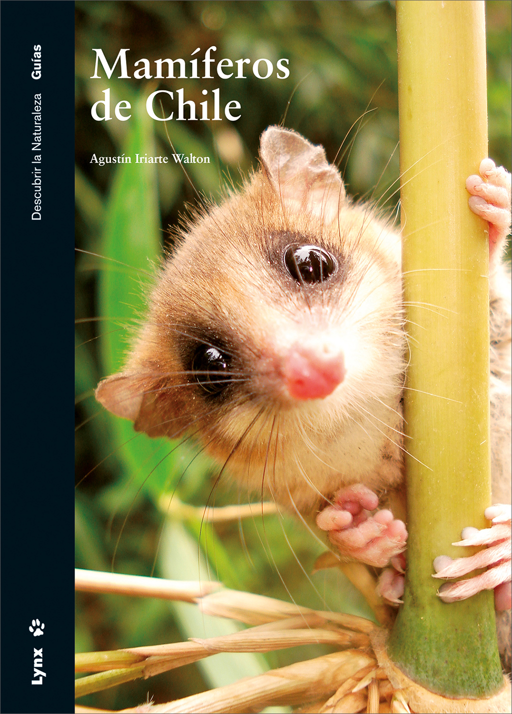 MAMÍFEROS DE CHILE 1
