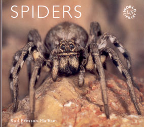 SPIDERS