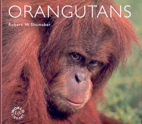 ORANGUTANS