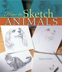 HOW TO SKETCH ANIMALS