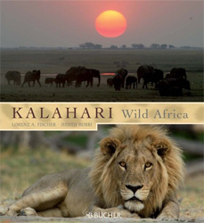 KALAHARI. WILD AFRICA 1