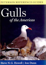 GULLS OF THE AMERICAS