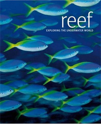 REEF. EXPLORING THE UNDERWATER WORLD