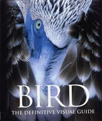 BIRD. THE DEFINITIVE VISUAL GUIDE