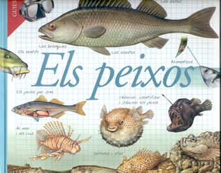 ELS PEIXOS. GUIES DE CAMP