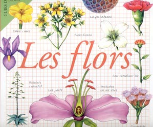 LES FLORS. GUIES DE CAMP 1