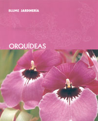 ORQUÍDEAS 1