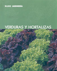 VERDURAS Y HORTALIZAS 1