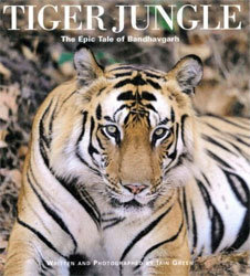 TIGER JUNGLE. THE EPIC TALE OF BANDHAVGARH 1