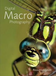 DIGITAL MACRO PHOTOGRAPHY 1