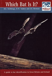 WHICH BAT IS IT? A GUIDE TO BAT IDENTIFICATION IN GREAT BRITAIN AND IRELAND