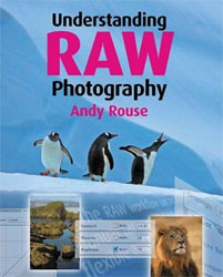 UNDERSTANDING RAW PHOTOGRAPHY 1