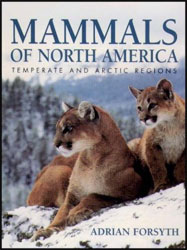MAMMALS OF NORTH AMERICA. TEMPERATE AND ARCTIC REGIONS
