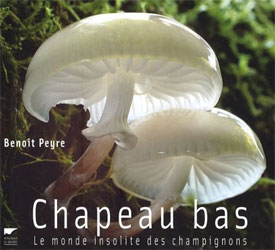 CHAPEAU BAS. LE MONDE INSOLITE DES CHAMPIGNONS 1