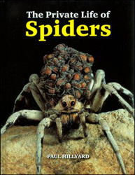 THE PRIVATE LIFE OF SPIDERS 1