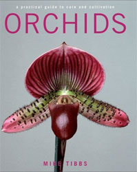 A PRACTICAL GUIDE TO CARE AND CULTIVATION ORCHIDS