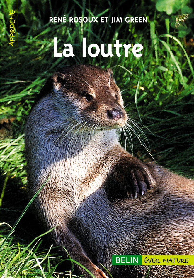 LA LOUTRE