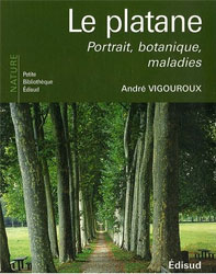 LE PLATANE. PORTRAIT, BOTANIQUE, MALADIES 1