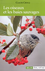 LES OISEAUX ET LES BAIES SAUVAGES