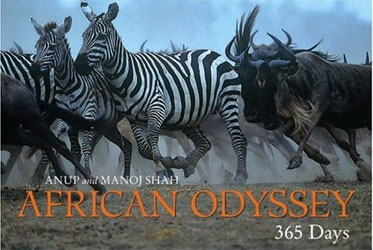 AFRICAN ODYSSEY: 365 DAYS 1