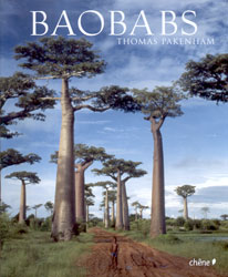 BAOBABS 1